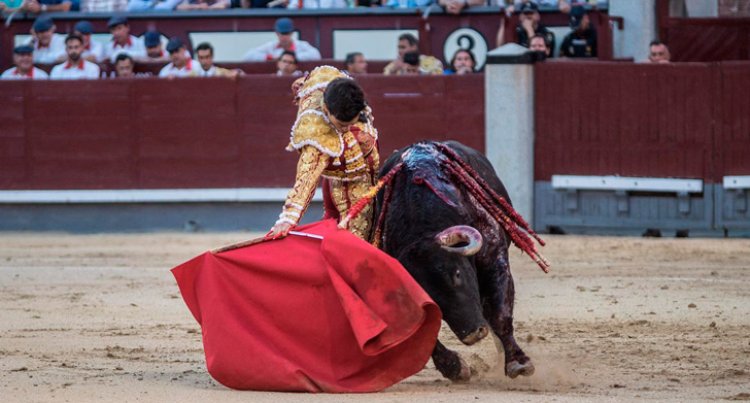 Tomás Rufo deja impronta de torero que no se arruga en la plaza de Toledo