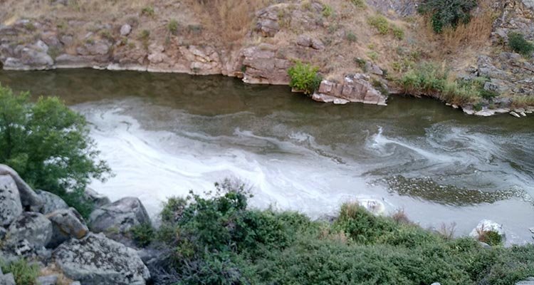 Más de 80 colectivos denuncian el deficiente estado de los ríos en la cuenca del Tajo