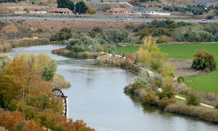 El Ayuntamiento de Toledo intensifica la desinsectación en las riberas del Tajo