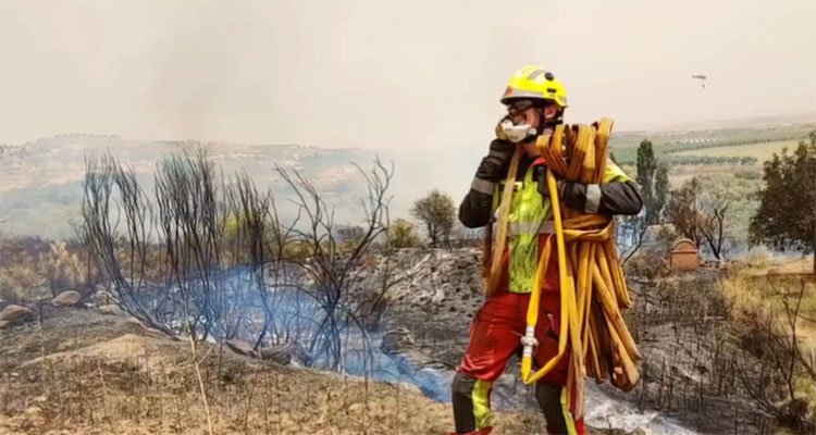 Controlado un incendio forestal en El Carpio de Tajo