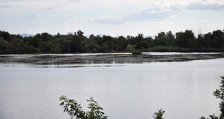 La Junta está convencida de que el Gobierno ratificará el plan hidrológico del Tajo