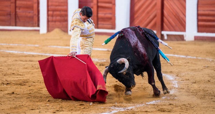 Con este toro tomó la alternativa Carlos Aranda.