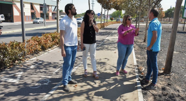 Talavera pide el mantenimiento y la limpieza en los solares del entorno urbano