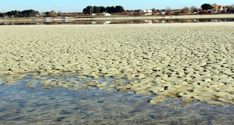 Las lagunas han estado en una situación de sequía extrema durante dos largos años.