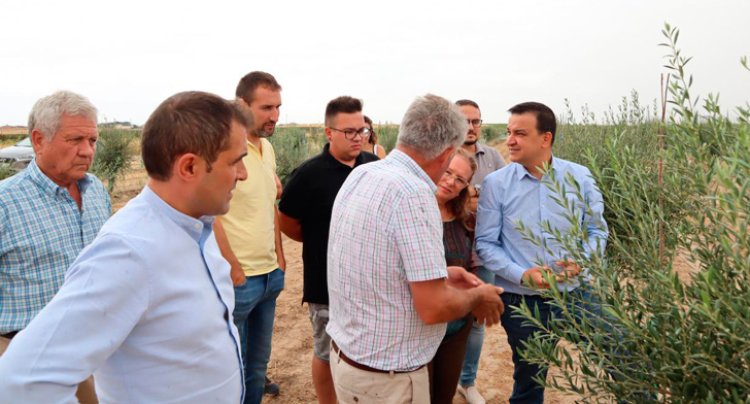 La Junta abona en octubre nueve millones a los 1.078 olivicultores afectados por Filomena