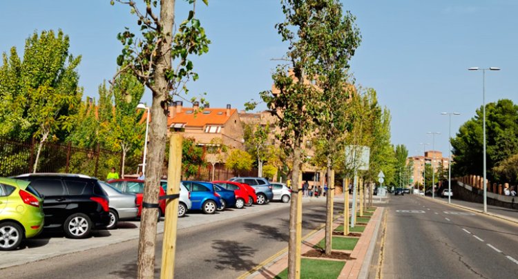 Plantación de más de 90 árboles y 450 arbustos en la avenida de Europa de Toledo