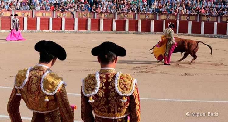 El pasado año la provincia de Toledo acogió 429 espectáculos y festejos taurinos