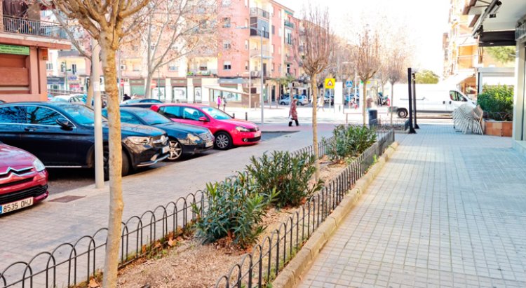 La calle Méjico de Santa Teresa en Toledo renueva 27 hibiscus en el paseo peatonal