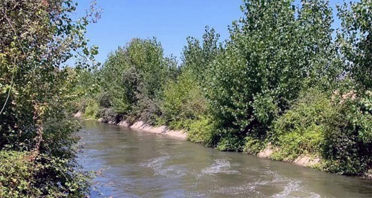 Confirmados los 16 millones para mejorar los regadíos del Canal Bajo del Alberche