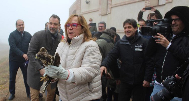Castilla-La Mancha ha pasado de tener 30 a 400 parejas de águila imperial