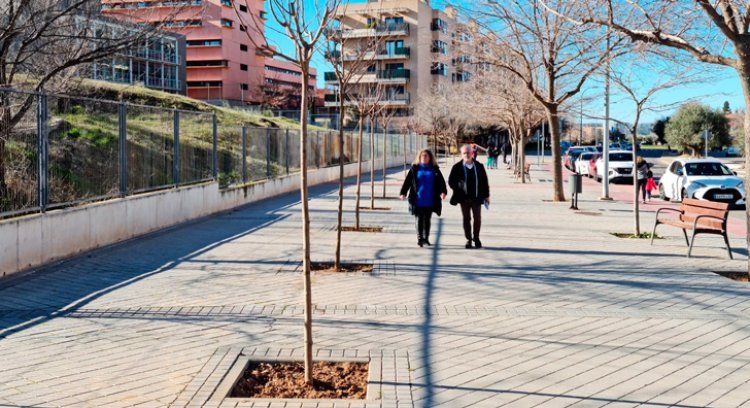 El barrio del Polígono de Toledo contará con 227 árboles y 6.333 arbustos más