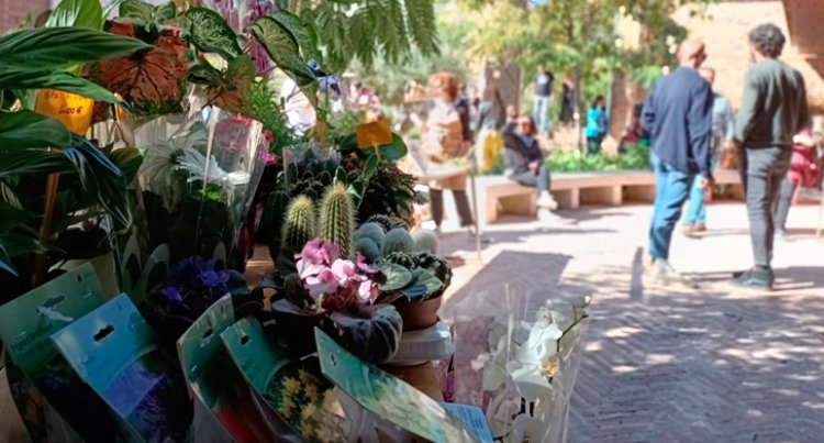 El Mercado de Flores en el jardín de San Lucas de Toledo enseñará a elaborar un herbario