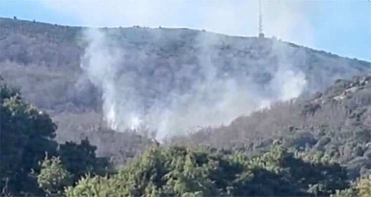 Seis medios terrestres trabajan en un incendio en el El Real de san Vicente