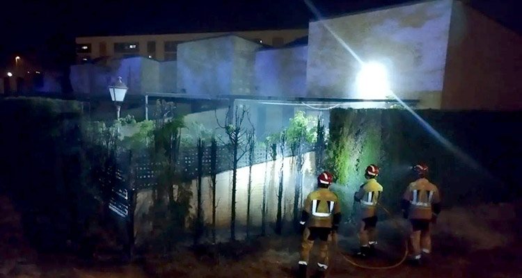 En la calle Río Mesa los bomberos tuvieron que apagar las llamas que calcinaban una arizónicas (Foto: Bomberos Ayuntamiento de Toledo)..