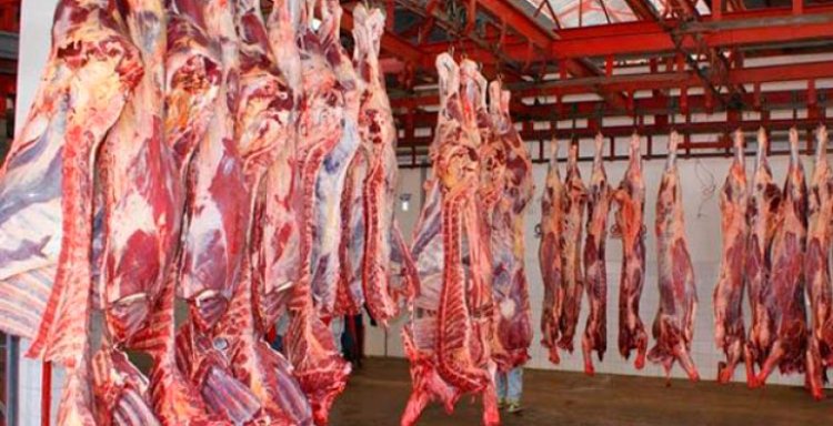 Derogadas las condiciones para los mataderos al levantarse la vigilancia por la viruela ovina