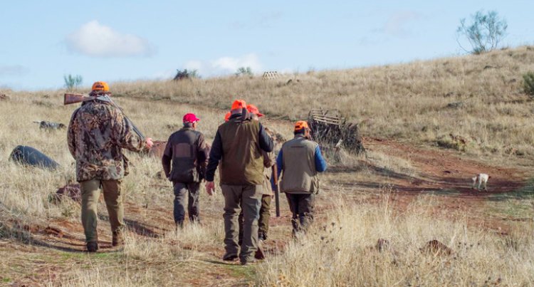 Este domingo arranca la temporada hábil de caza mayor y menor en Castilla-La Mancha
