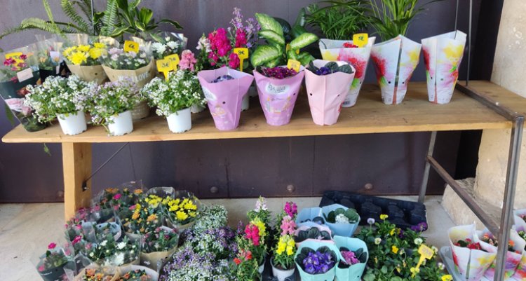 Este sábado vuelve el Mercado de Flores al jardín de San Lucas en Toledo
