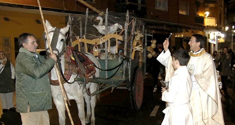 Talavera cumple la tradición de bendecir a sus animales por San Antón