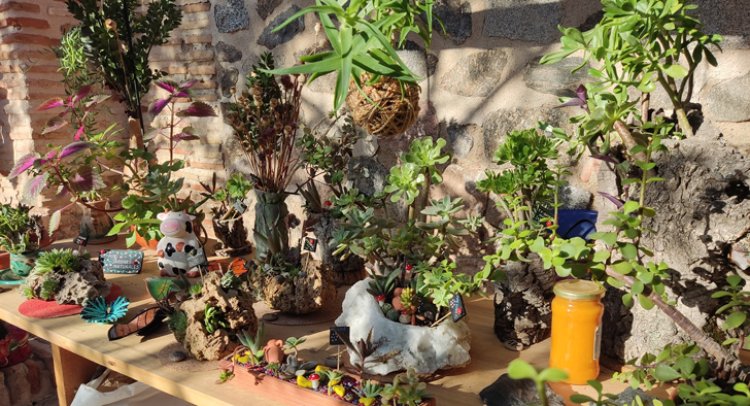 El Mercado de Flores retoma su actividad en el jardín de San Lucas de Toledo