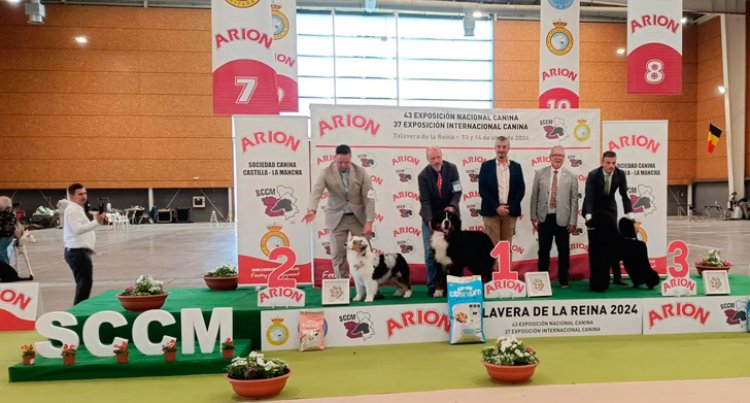 La exposición canina de Talavera ha contado con la participación de más de 1.600 perros