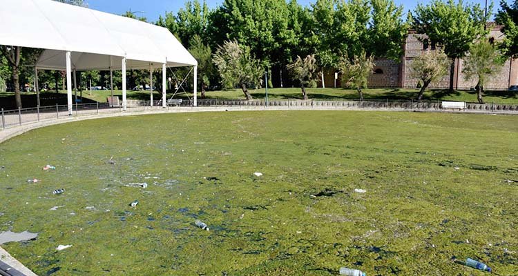 Un mes después, avanza en Talavera el deterioro de los lagos de La Alameda