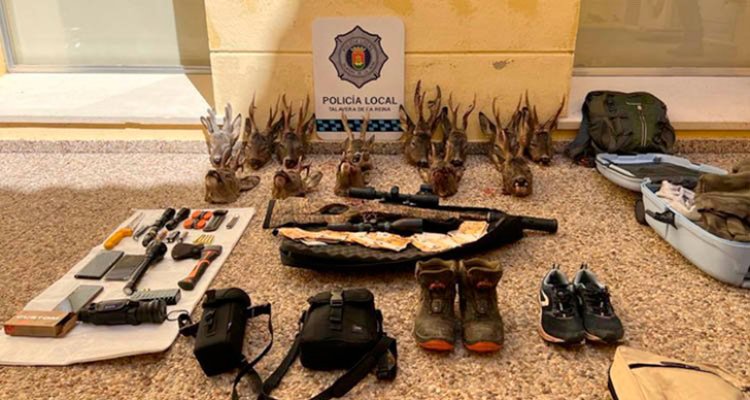 Investigan a un joven de Talavera y a otro de Casarrubios por la caza furtiva de corzo en Soria