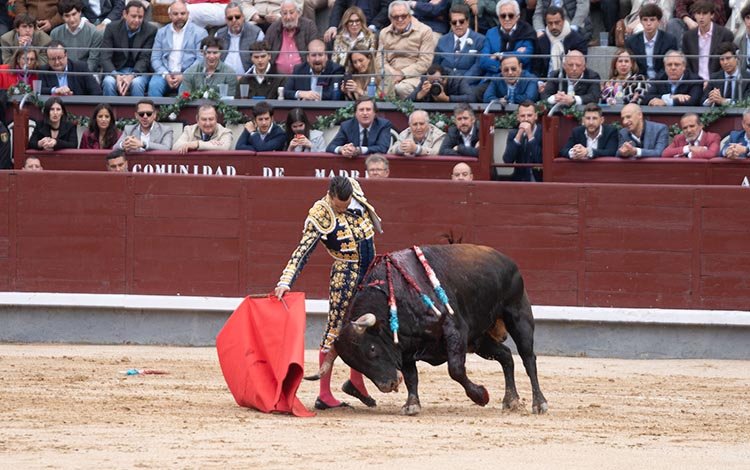 El matador de toros alicantino pasó sin pena ni gloria por Madrid / Alejandro Lara.