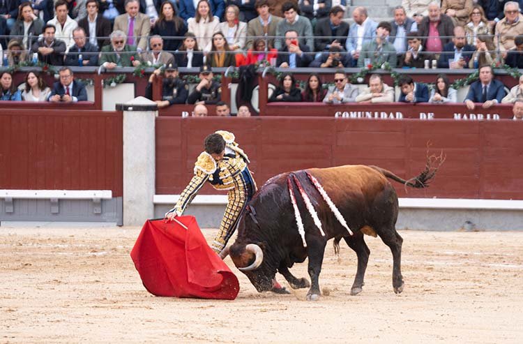 Castella no estuvo fino en la sexta de abono de la Feria de San Isidro / Alejandro Lara.