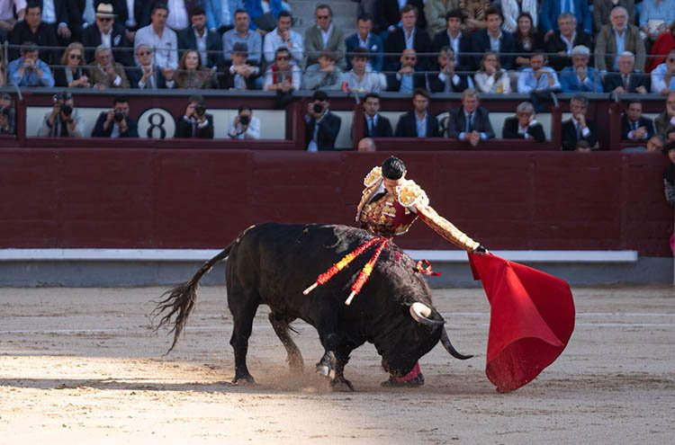 Talavante fue el único de la terna que tocó pelo / Alejandro Lara.