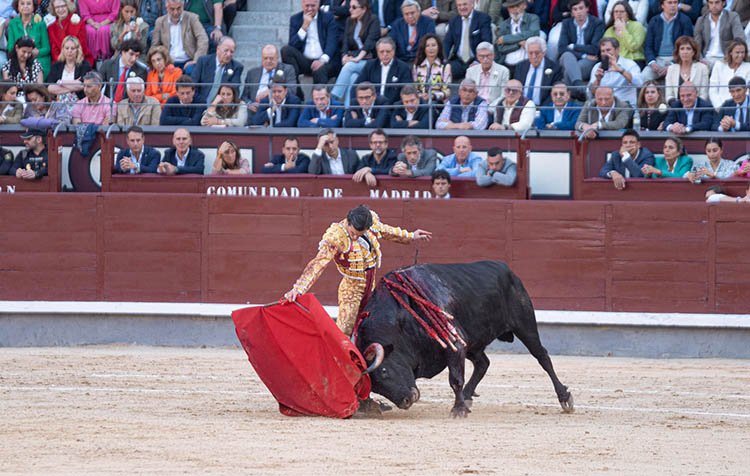 La torería del sevillano no fue suficiente para hacerse con trofeos / Alejandro Lara.