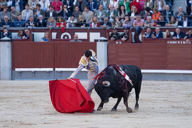 Rufo en uno de sus buenos lances / Alejandro Lara.