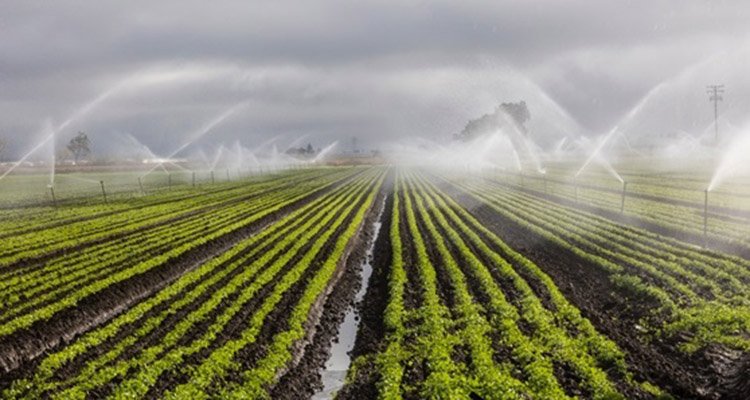 El Consejo de Ministros aprueba 12,9 millones para modernizar regadíos de Mora y Mascaraque