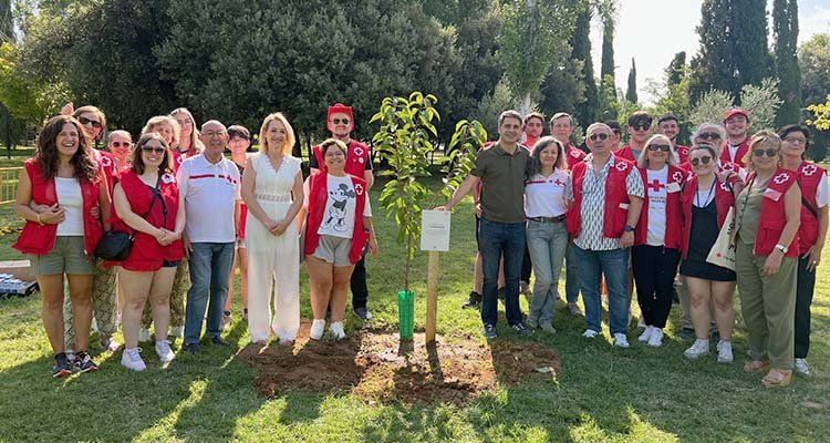 Cruz Roja planta el Árbol de la Humanidad en Toledo para conmemorar su 160 aniversario