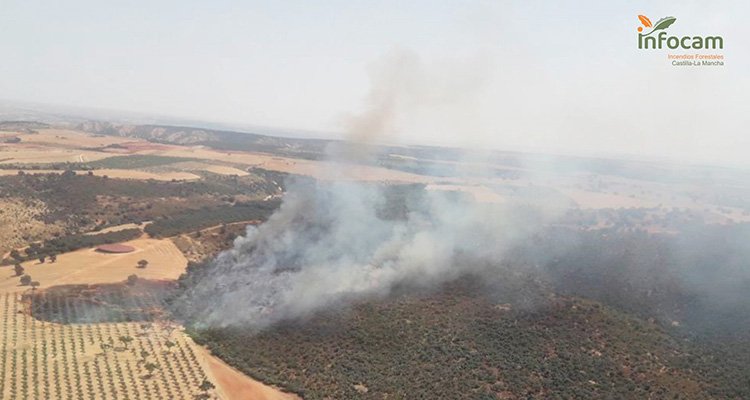 Declarado un incendio en Villarejo de Montalbán que afecta a un bosque de encinas