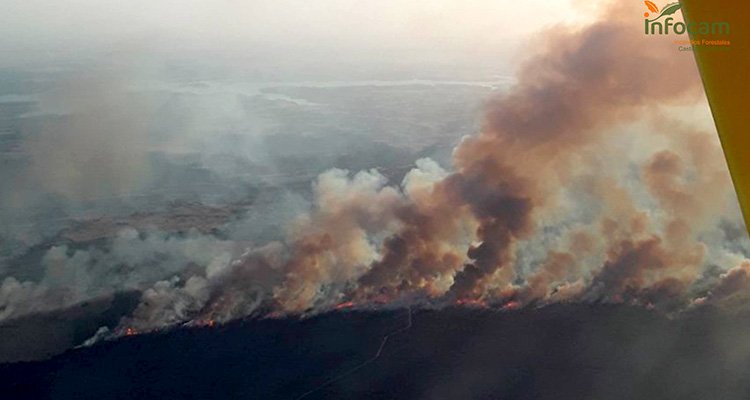 El incendio forestal de Valverdejo afecta a 1.500 hectáreas e incorpora a la UME