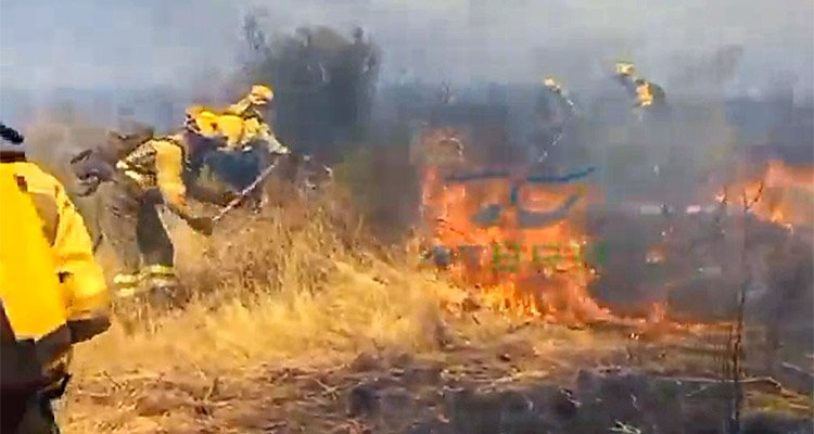 Los efectivos de la BRIF de La Iglesuela del Tiétar, aplacando las llamas sobre el terreno.