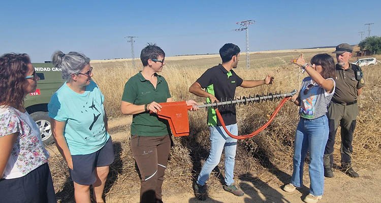 Adecuan un tendido en Escalonilla para evitar electrocuciones y colisiones de aves