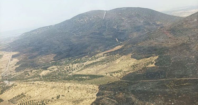 Estabilizado el incendio de La Estrella, que ha calcinado 2.500 hectáreas de La Jara