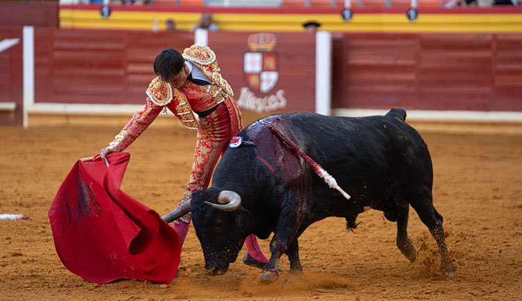 Espada se fajó en sus faenas de muleta / Alejandro Lara.