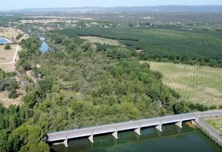 El espectacular bosque de ribera del río Alberche ha sido destruido por la CHT / Ardeidas Talavera.