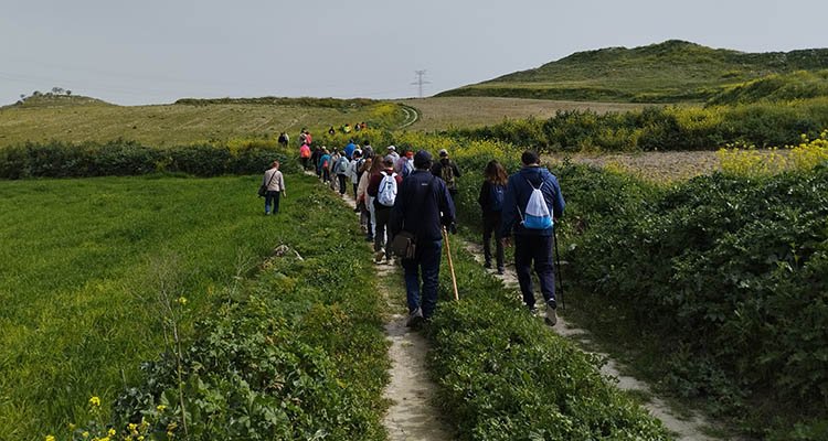 Estos son los 34 Paseos Naturales de la Diputación de Toledo