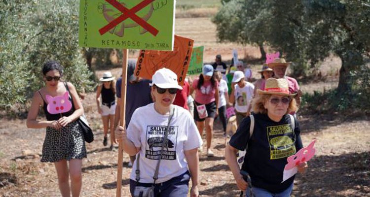 Los participantes en el Encuentro marcharán en romería hasta el entorno de la macrogranja proyectada en Retamoso