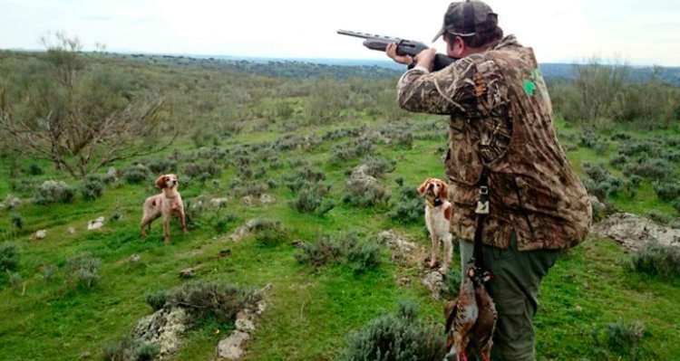 Arranca la temporada de caza mayor y menor en Castilla-La Mancha