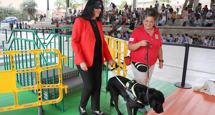 Marisol Illescas, concejal de Servicios Sociales, ha comprobado en primera persona la gran labor del perro guía