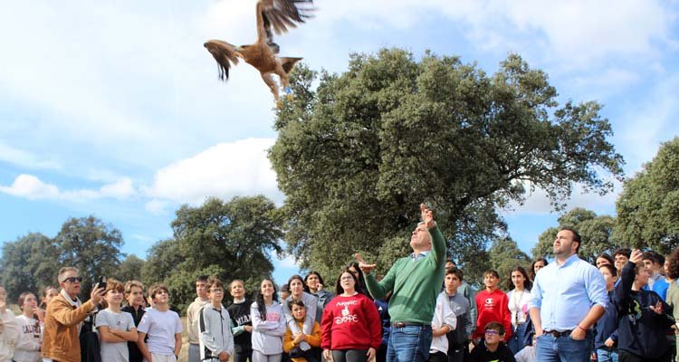 Liberado en Oropesa el primer águila imperial ibérica criado en cautivad