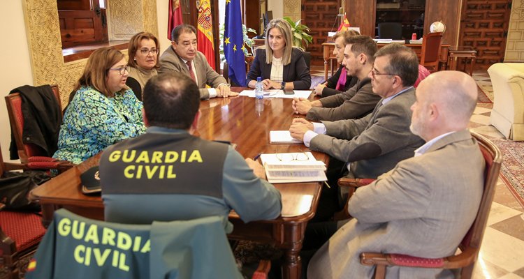 La Guardia Civil reforzará la vigilancia en Montes de Toledo para combatir el robo de aceituna