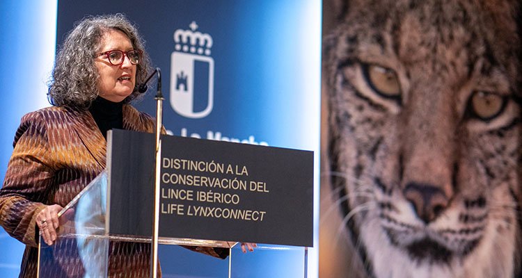 La reintroducción del lince ibérico en Castilla-La Mancha llega a Cuenca