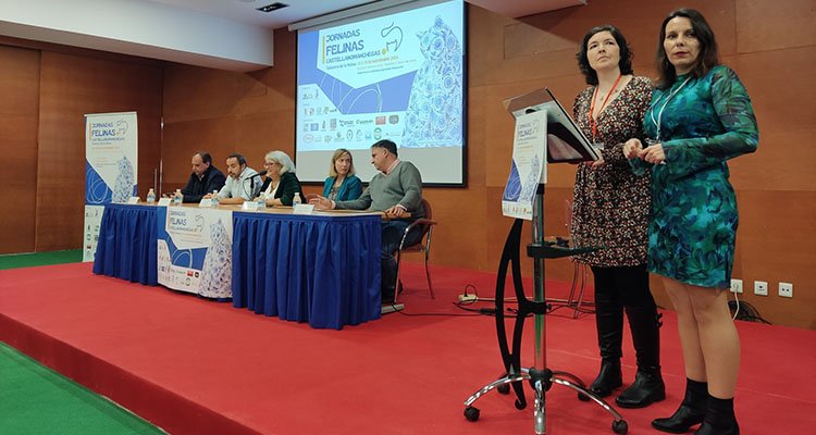 Gran aceptación de las I Jornadas Felinas Castellanomanchegas en Talavera Ferial